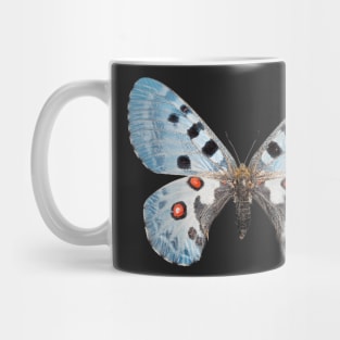 Special Blue Butterfly Mug